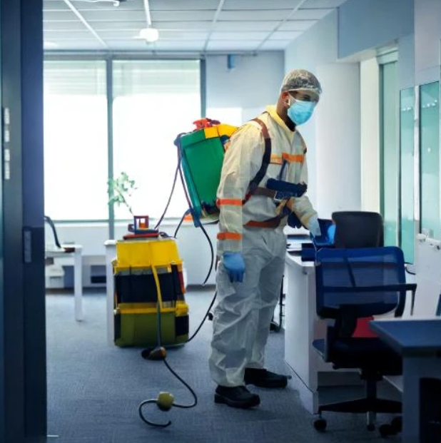 Pest Control in Virar Pest Control in Virar