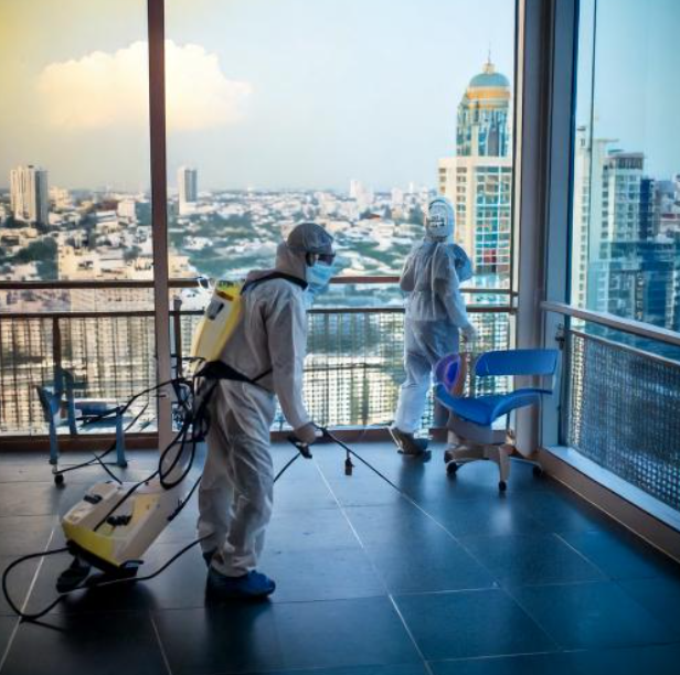 pest control in airoli