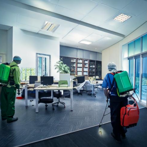pest control malad west pest control malad west