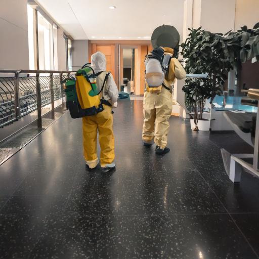 pest control in dombivli east