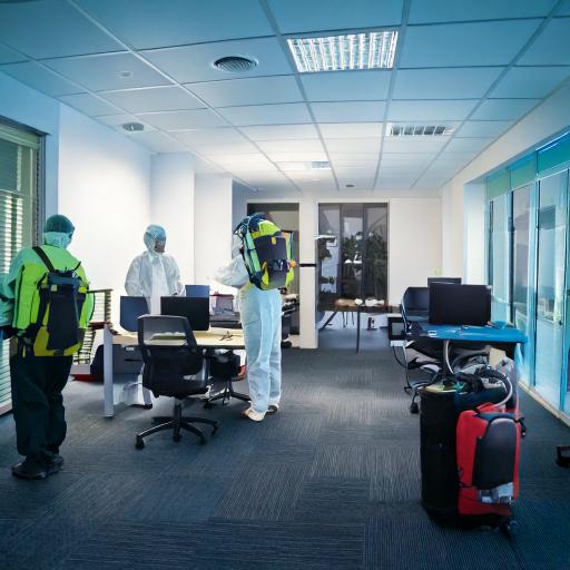 Pest Control in Virar West Pest Control in Virar West